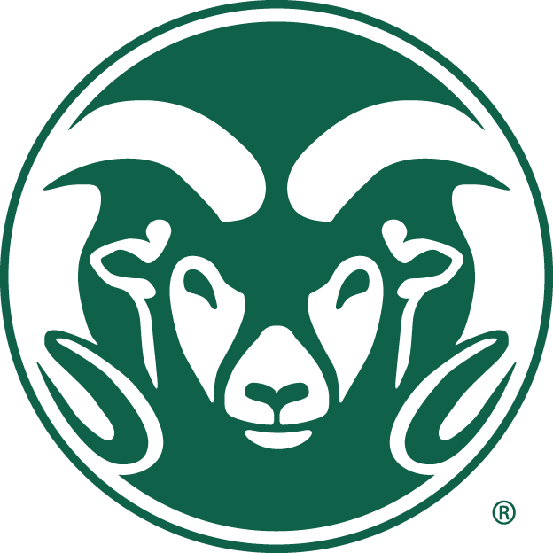 Colorado State Rams 1993-2014 Alternate Logo v2 iron on transfers for fabric